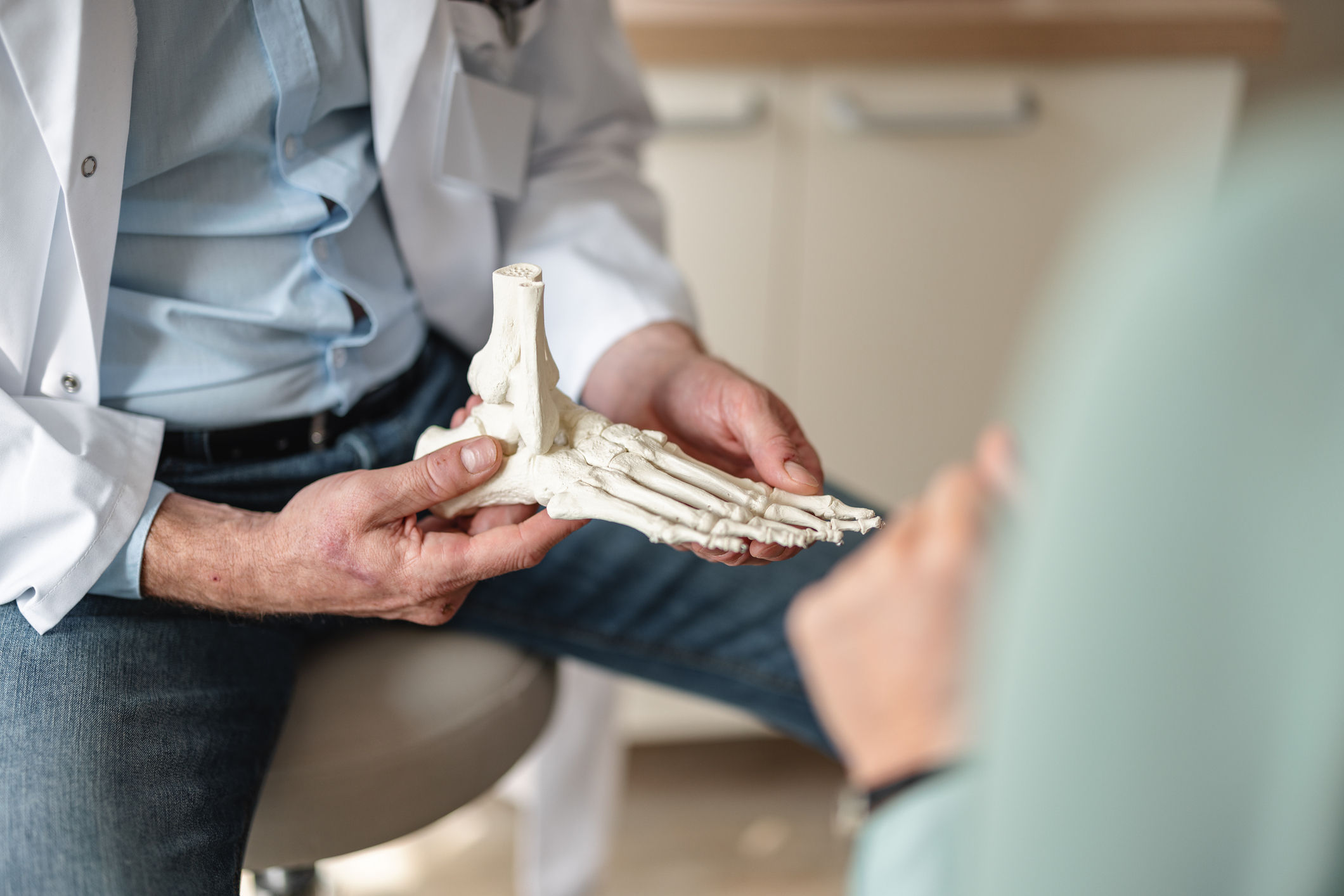 Doctor holding skeleton foot